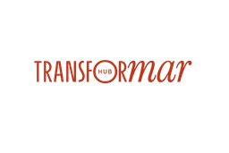 TransformarRevenue